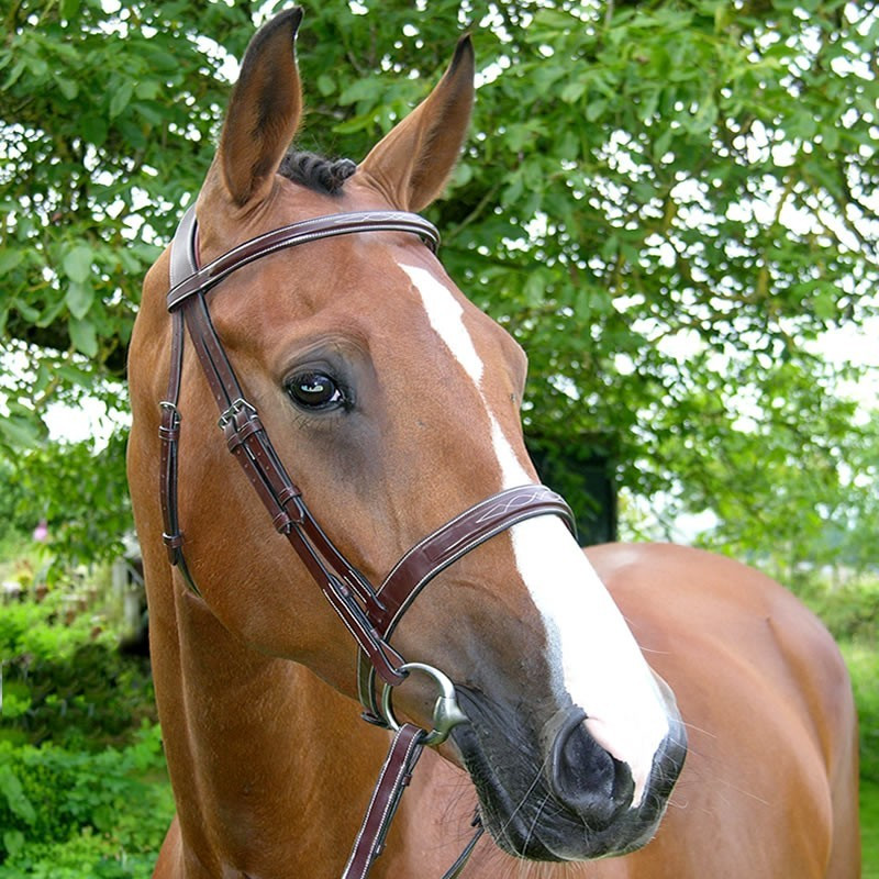 Bridon Hunter US Dyon