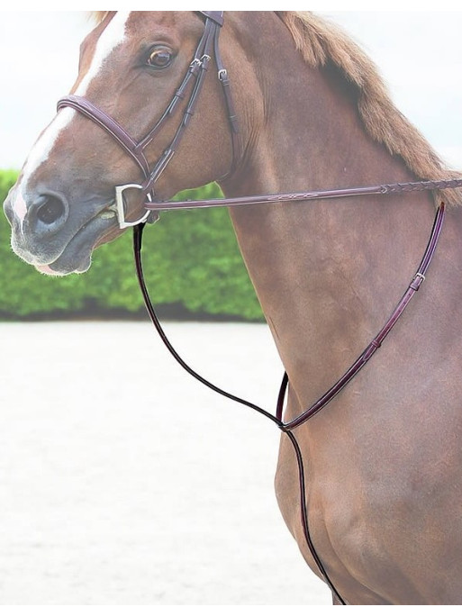 Martingale fixe Dy'on (Hunter collection)