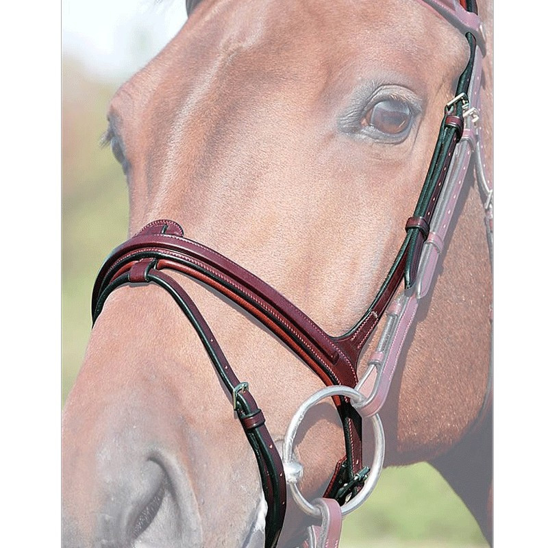 Muserolle Combinée "New English Collection" Dy'on