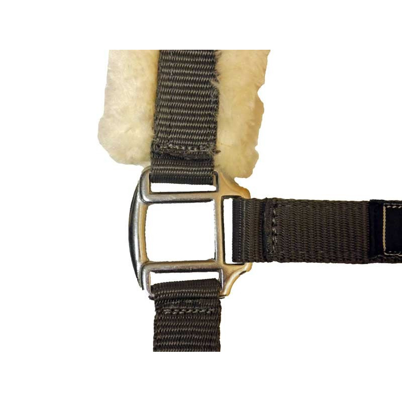Licol en mouton Stocklot HKM