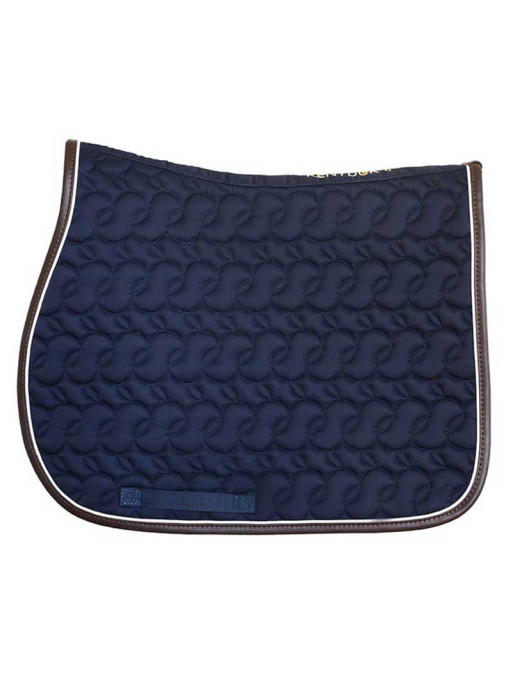 Tapis Absorb Kentucky