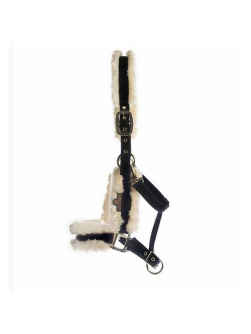 Licol en nylon et mouton Kentucky Licol en nylon et mouton Kentucky