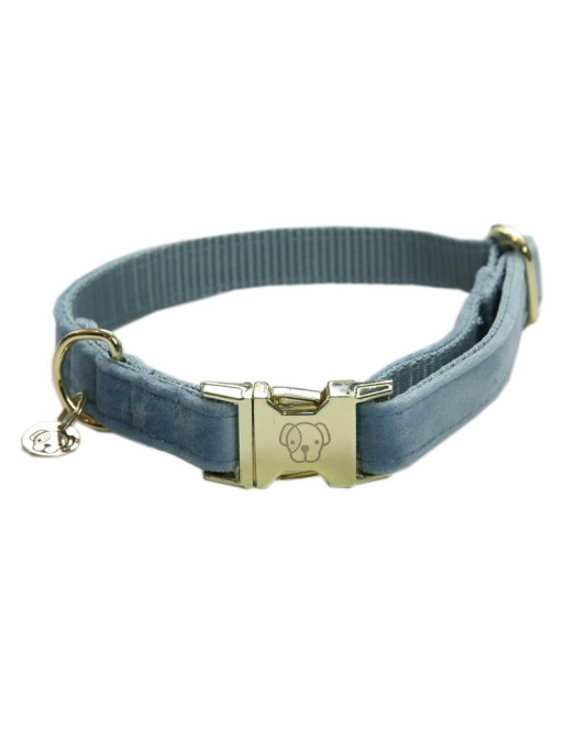 Collier chien velour Velvet Kentucky Collier chien velour Velvet Kentucky