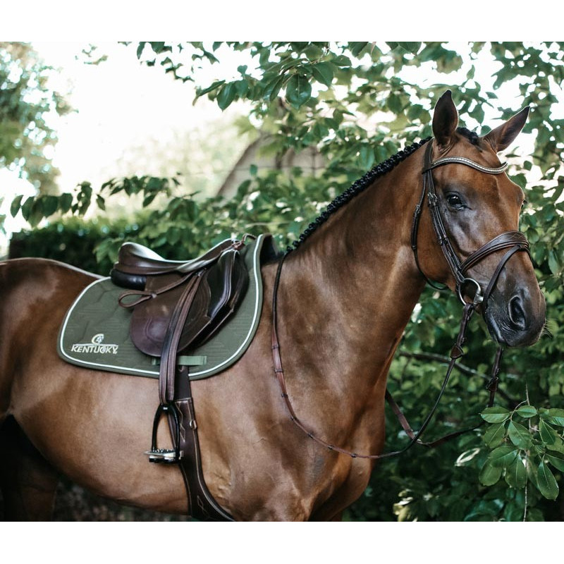 Tapis d'équitation  Color Edition Kentucky