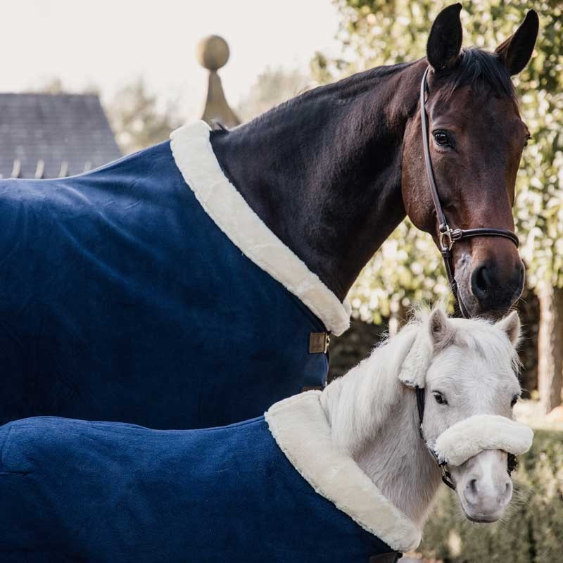 Chemise séchante Show Fleece Heavy Kentucky