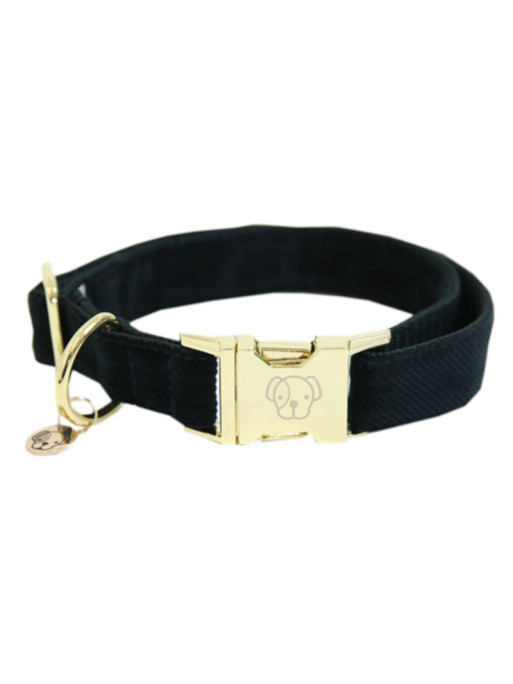 Collier de chien Corduroy Kentucky