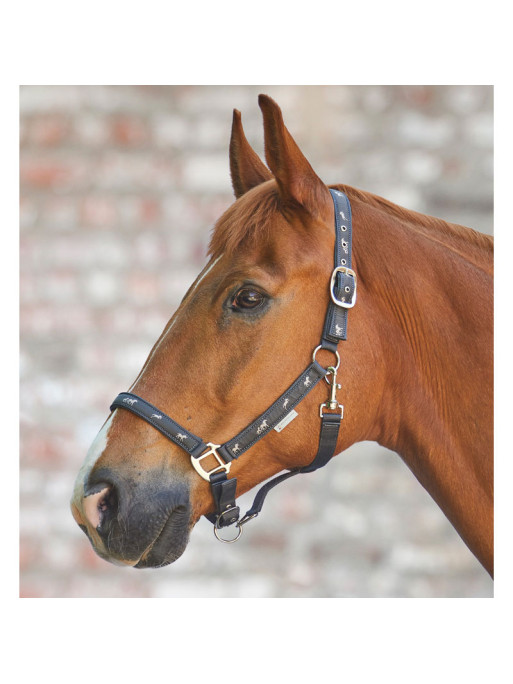Licol déco petits chevaux Waldhausen Licol déco petits chevaux Waldhausen