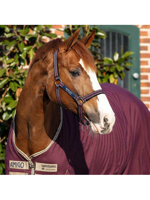 Licol Amigo Horseware