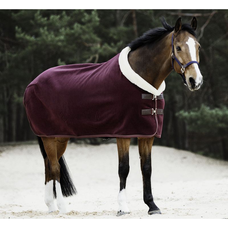 Chemise séchante Show Fleece Heavy Kentucky