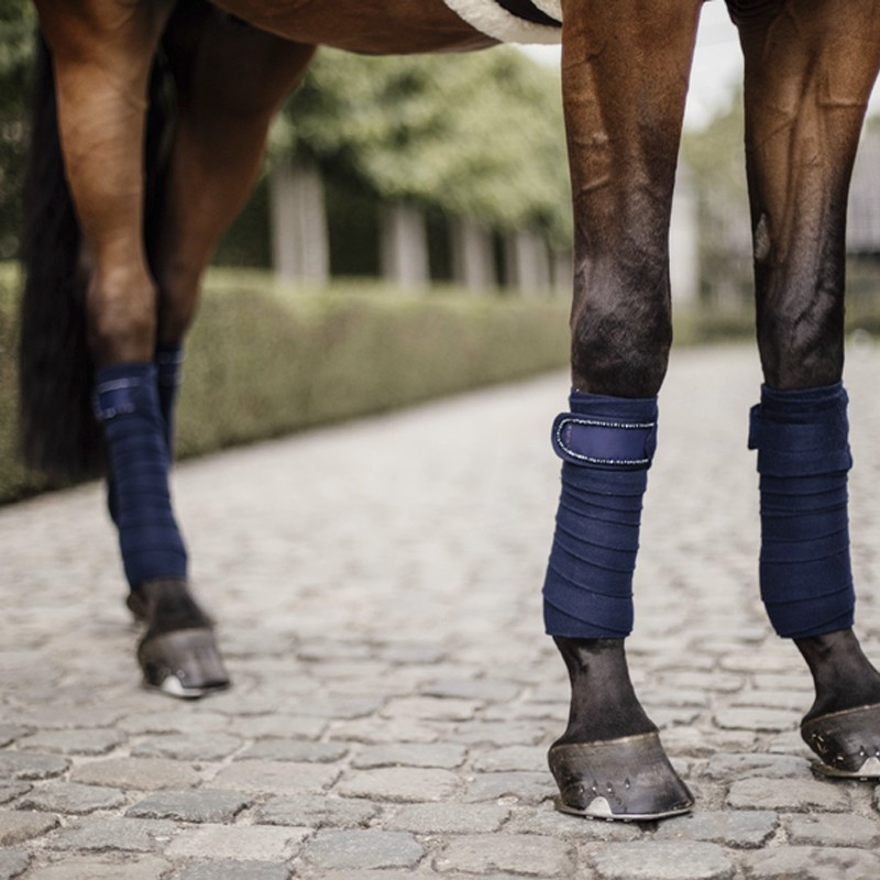 Bandes de polo pearls Kentucky