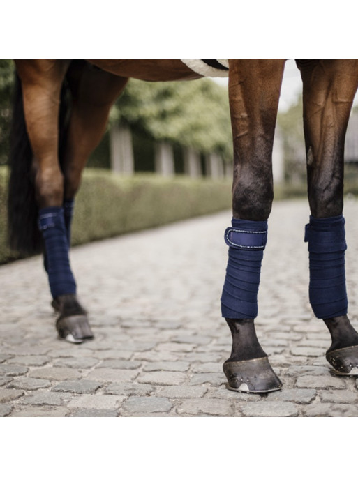 Bandes de polo pearls Kentucky