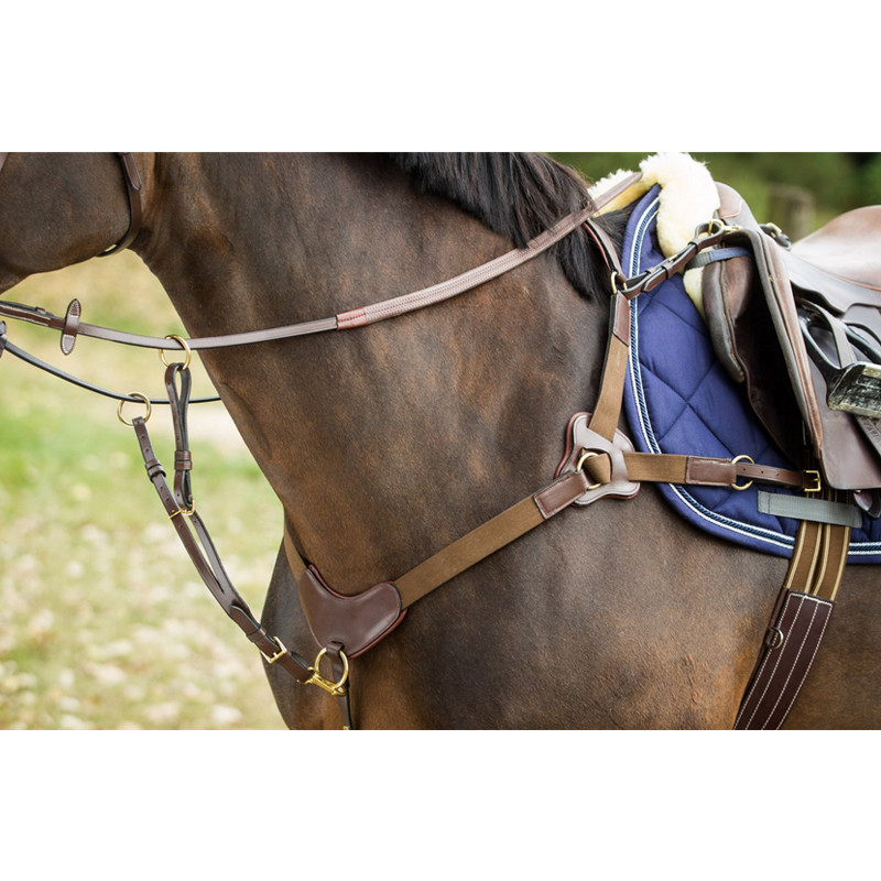 Collier de chasse 5 points HFI