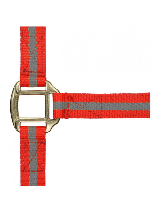 Licol nylon doublé cuir