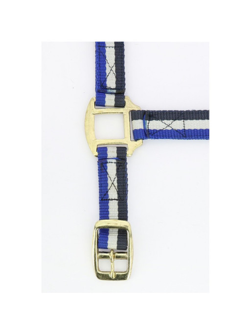 Licol nylon doublé cuir