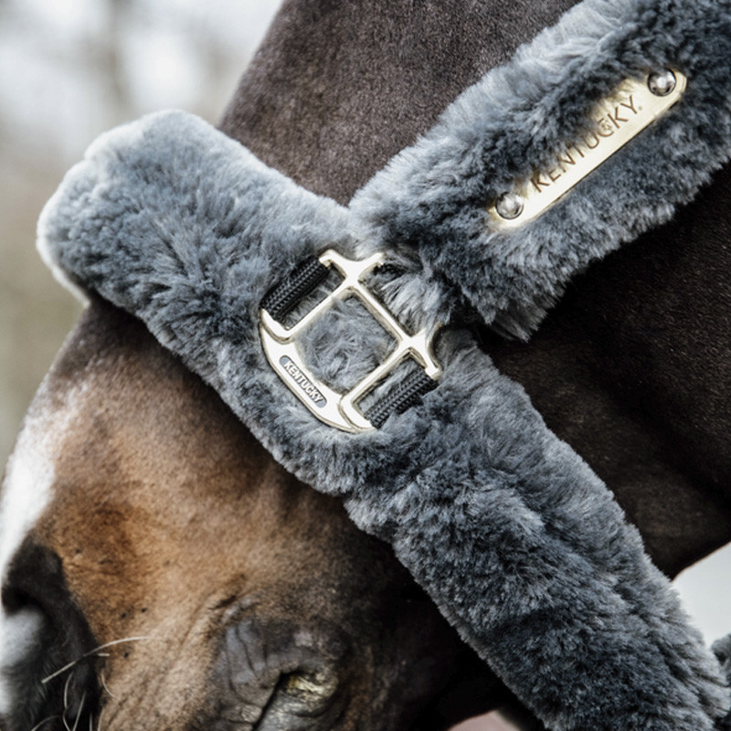 Licol de transport en mouton véritable Kentucky
