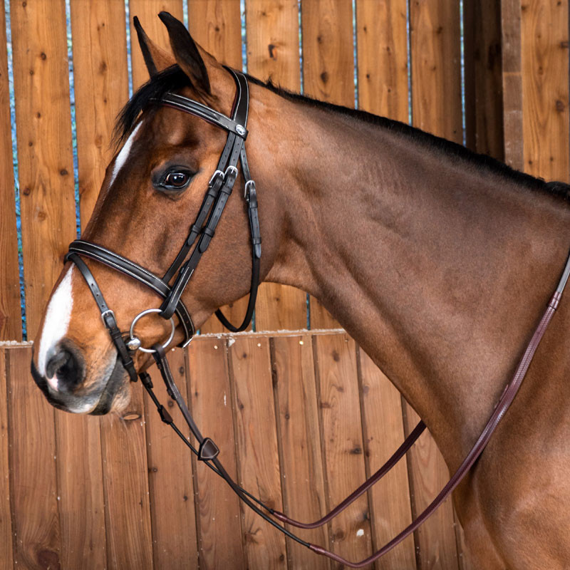 Bridon Classic muserolle combinée Dyon