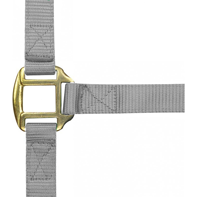 Licol nylon doublé cuir