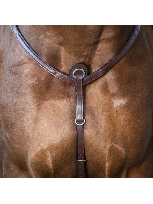 Collier de chasse Fancy "New English Collection" Dy'on Collier de chasse Fancy "New English Collection" Dy'on