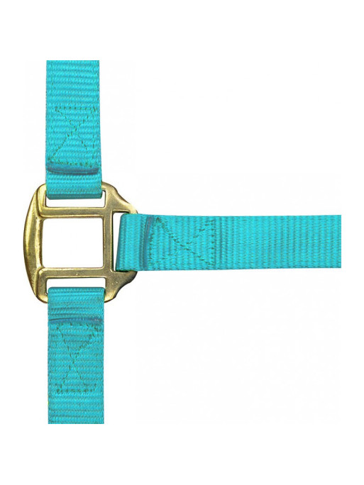 Licol nylon doublé cuir