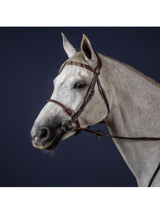 Bridon muserolle corde recouverte de cuir "New English Collection" Dy'on