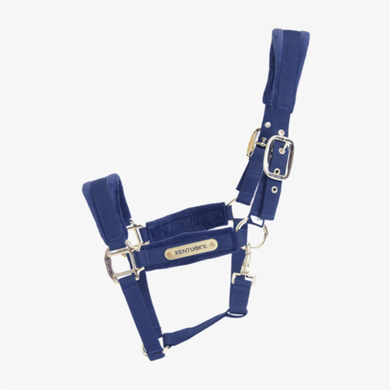Licol Velvet Kentucky marine 1