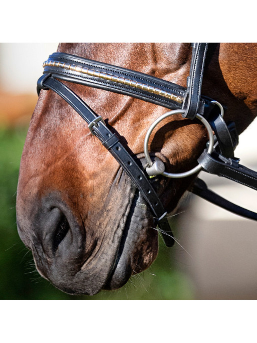 Muserolle combinée clincher doré Equiline portée 2