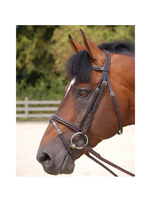Bridon Classic muserolle combinée Working by Dy'on