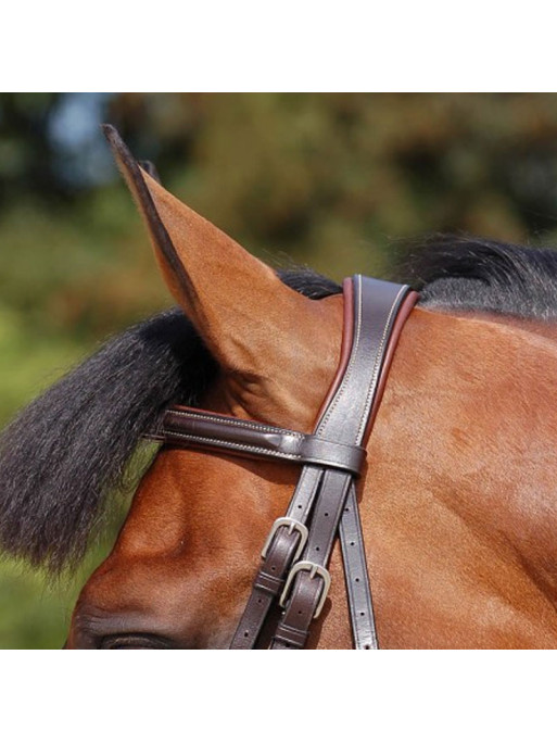 Bridon Classic muserolle combinée Working by Dy'on