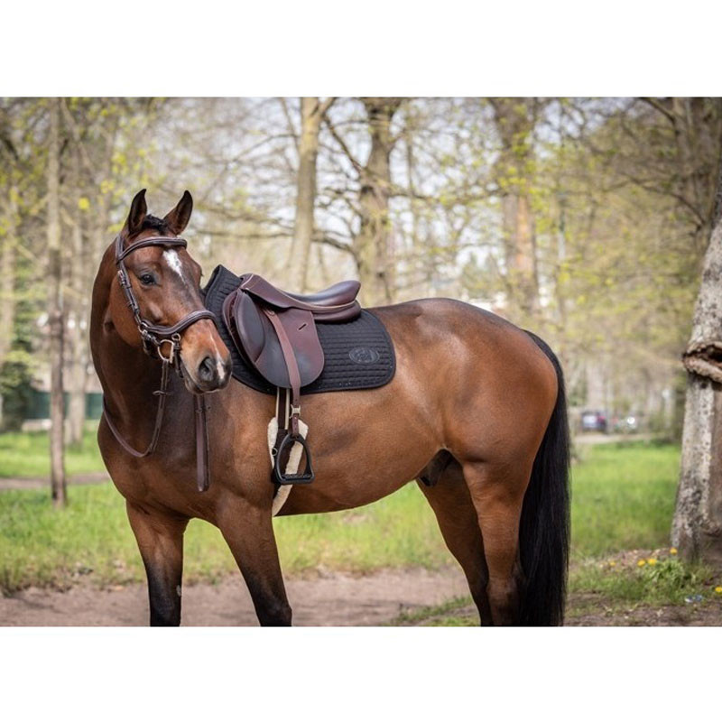 Tapis de selle Carat CSO Jump'In
