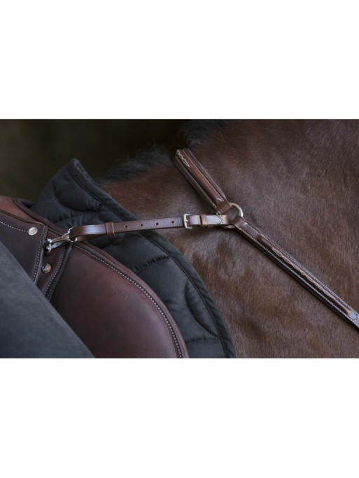 Collier de chasse Norton Pro détails 2 Collier de chasse Norton Pro détails 2