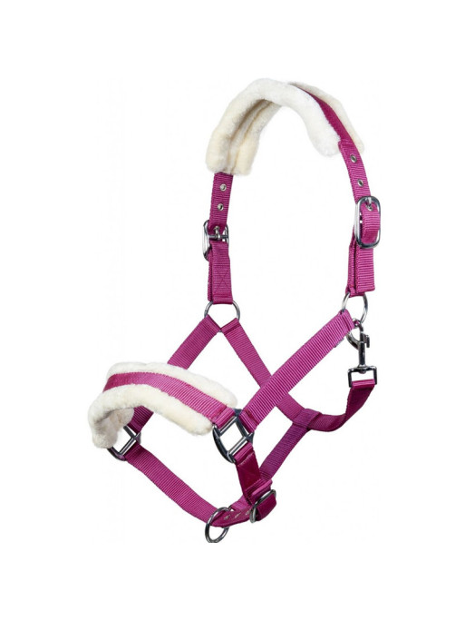 Licol Teddy HKM rose
