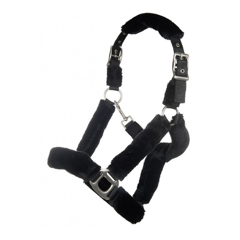 Licol rembourré Teddy Well Style HKM noir