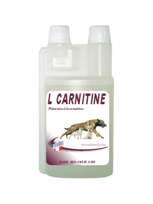 Complément alimentaire pour chien L-Cartinine Rekor Complément alimentaire pour chien L-Cartinine Rekor