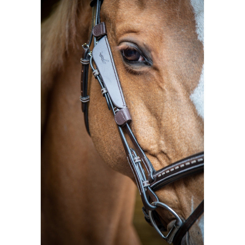 Oeillères Blinkers Pénélope havane 2