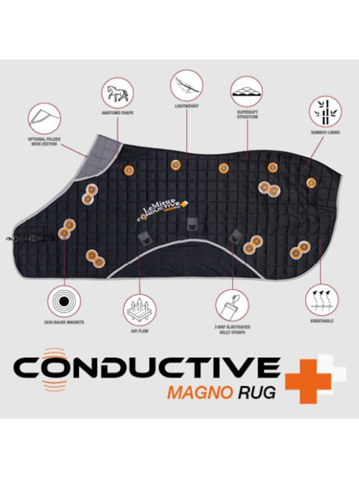 Couverture thérapeutique Conductive Magno Rug LeMieux 1