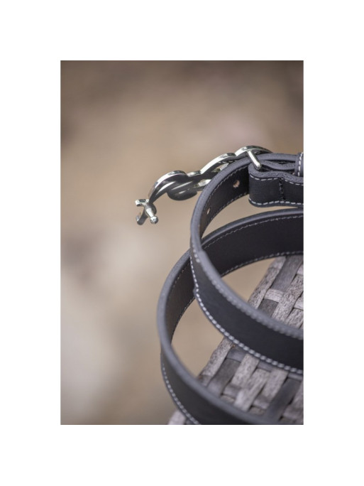 Ceinture Signature Pénélope 3