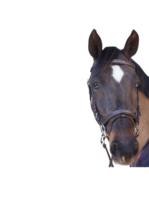 Bridon surpiqué Canter marron face Bridon surpiqué Canter marron face