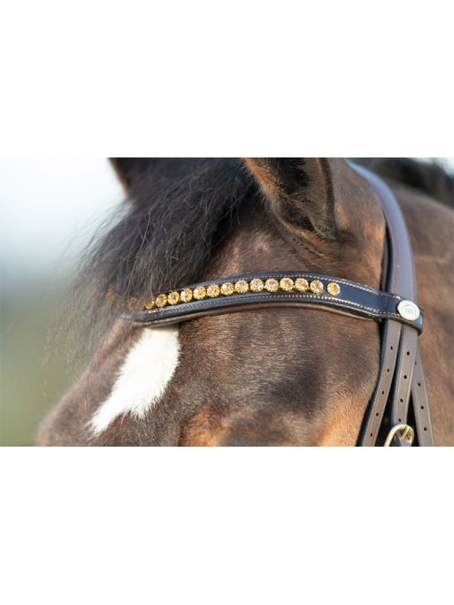 Bridon Shiny HFI 2 Bridon Shiny HFI 2