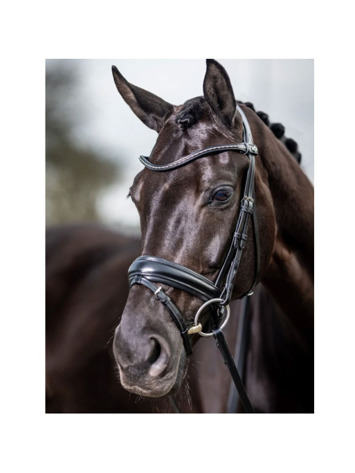 Bridon dressage Classic LeMieux