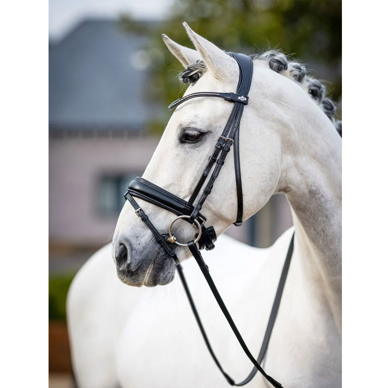 Bridon dressage Classic LeMieux