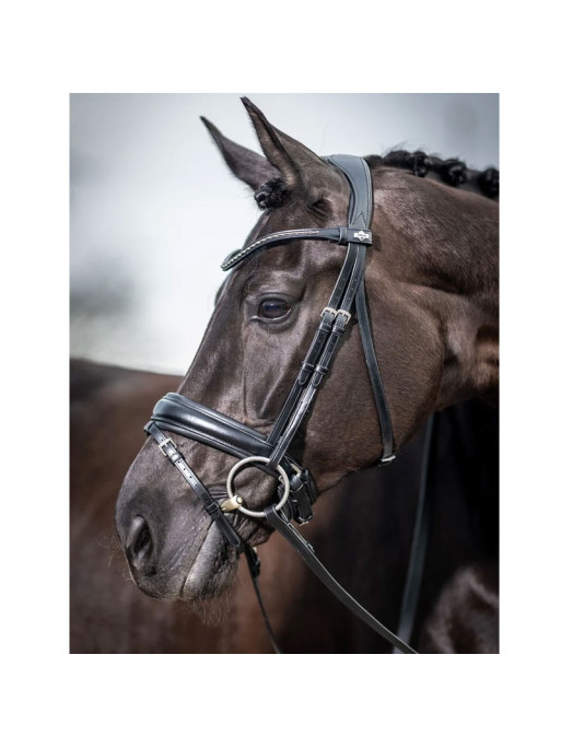 Bridon dressage Classic LeMieux