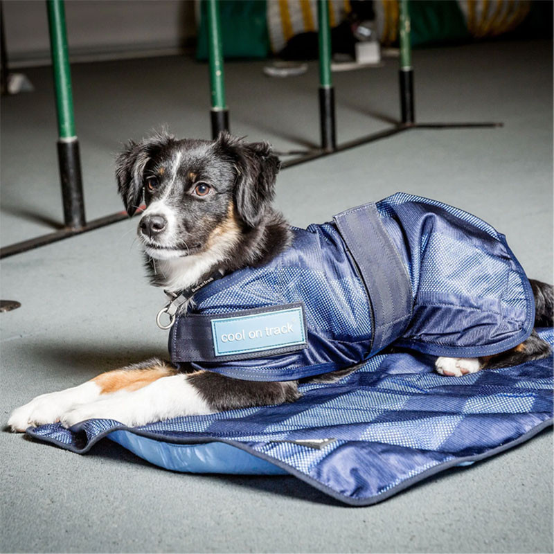 Manteau raffraîchissant pour chien Back On Track