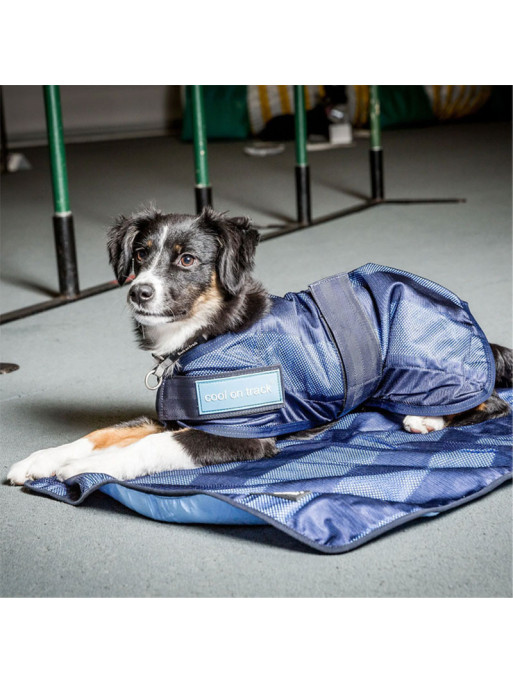 Manteau raffraîchissant pour chien Back On Track