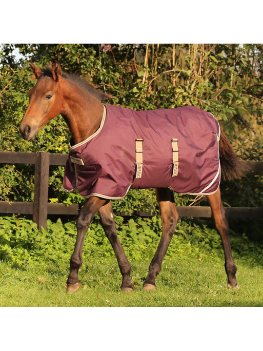Couverture poulain Amigo Foal Rug Ripstop Horseware Couverture poulain Amigo Foal Rug Ripstop Horseware