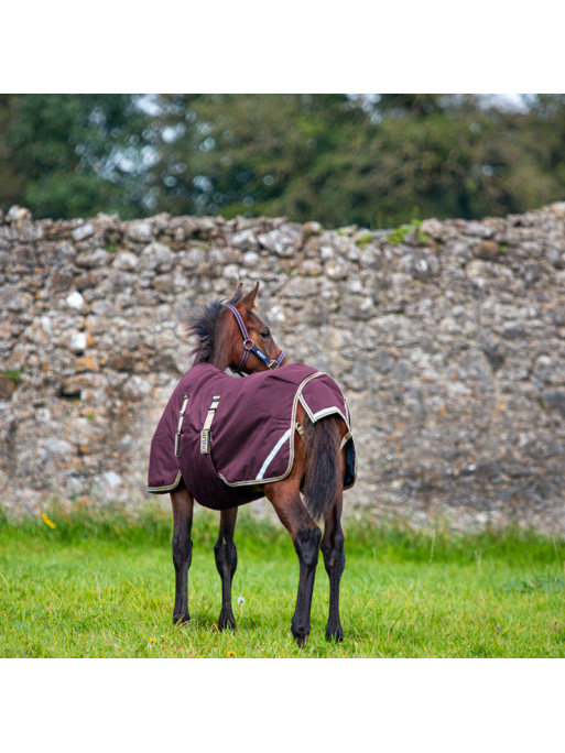 Couverture poulain Amigo Foal Rug Ripstop Horseware Couverture poulain Amigo Foal Rug Ripstop Horseware
