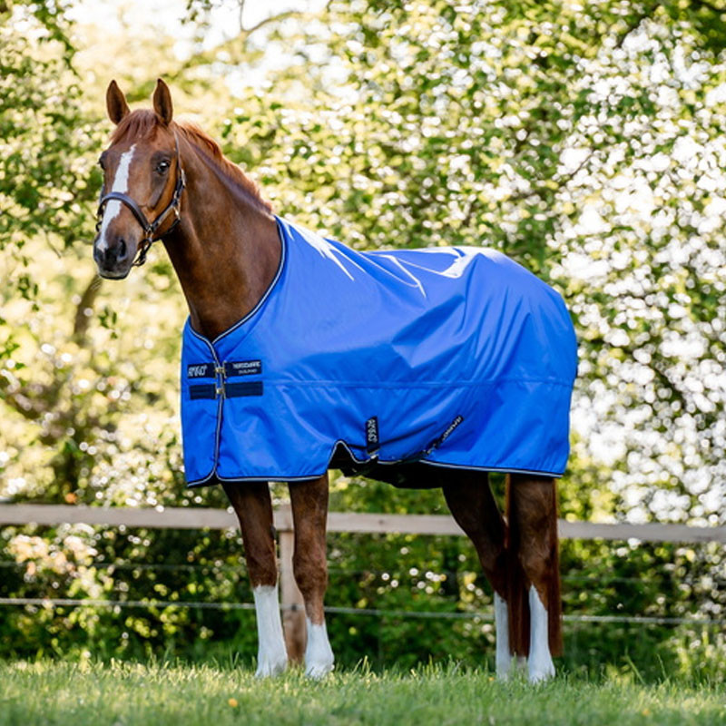 Couverture Amigo Hero 50g Horseware