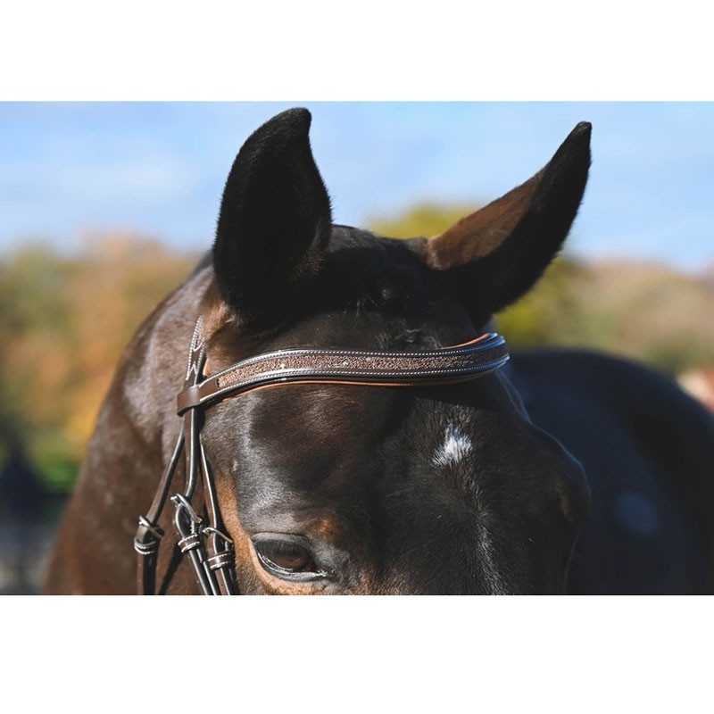 Bridon Carat Collection One Premium Jump'In Bridon Carat Collection One Premium Jump'In