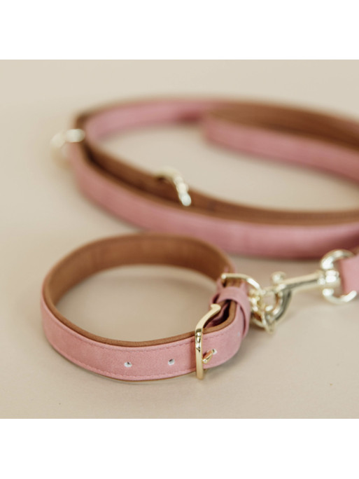 Collier pour Chien Vegan leather Kentucky Collier pour Chien Vegan leather Kentucky