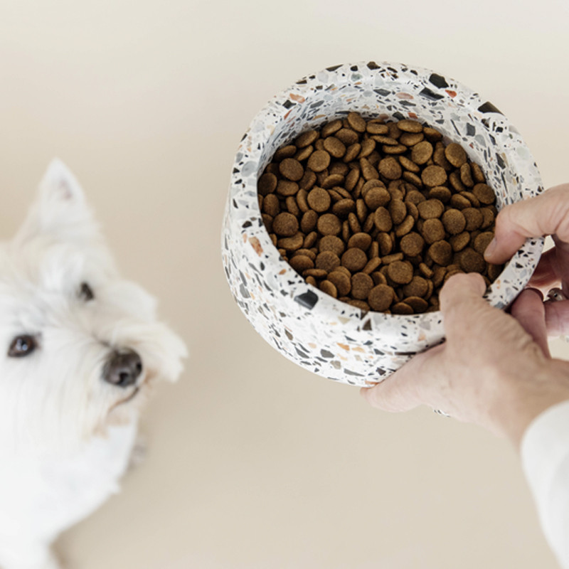 Gamelle pour chien en pierre Terrazzo Kentucky