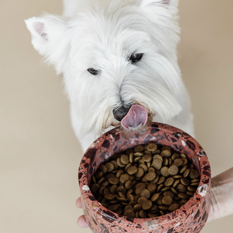 Gamelle pour chien en pierre Terrazzo Kentucky